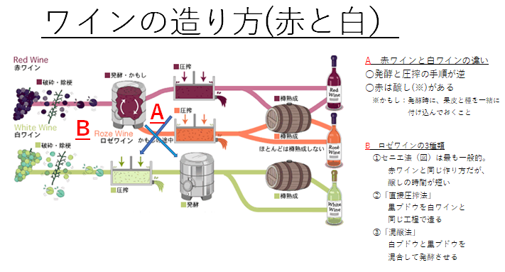 ワインの製造技術 第4回】 ワインの造り方│Grapewine