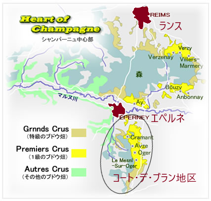 最安値】高級シャンパーニュ地方を代表する地区、モンターニュ