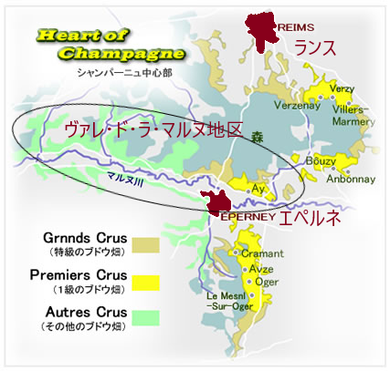 シャンパンのブドウは「山」「谷」「丘」で栽培される